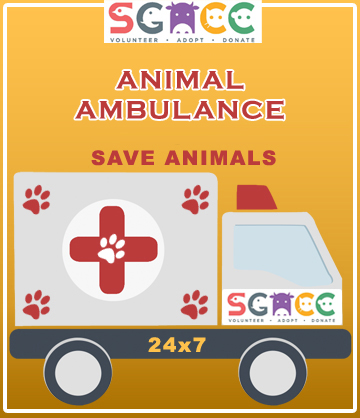 ANIMAL AMBULANCE AT NOMINAL COST