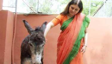 maneka gandhi animal hospital